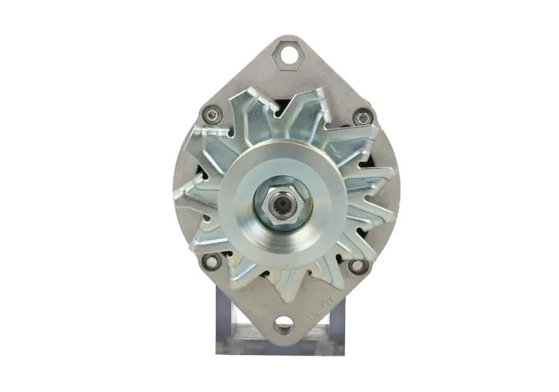 Original Neu Mahle Lichtmaschine passend für Basak MG763 65 A