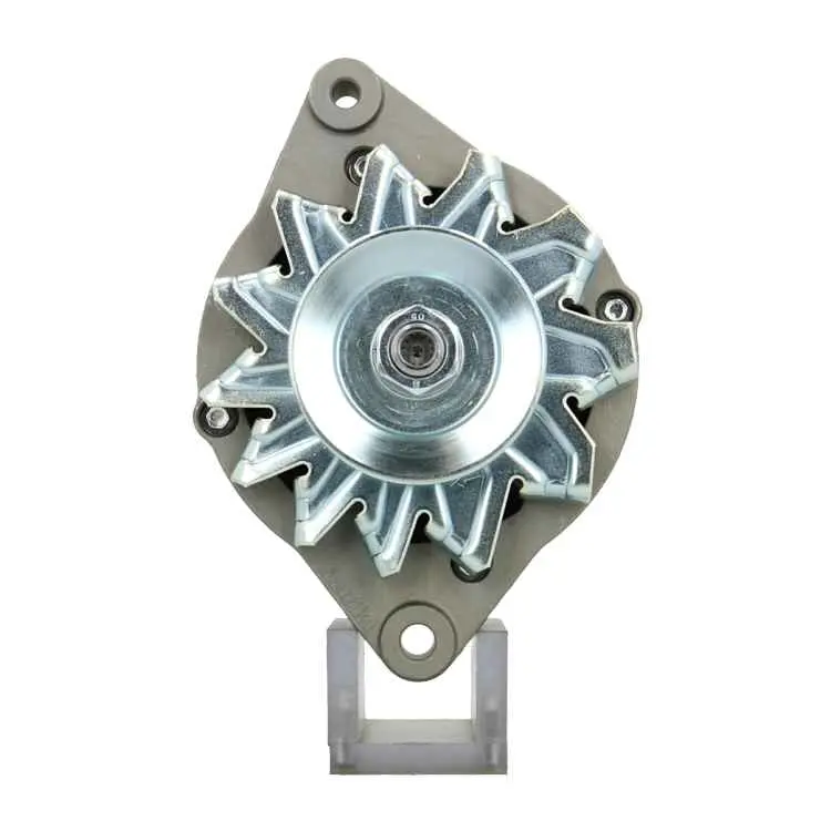 Original Neu Mahle Lichtmaschine passend für Bukh MG171 50 A