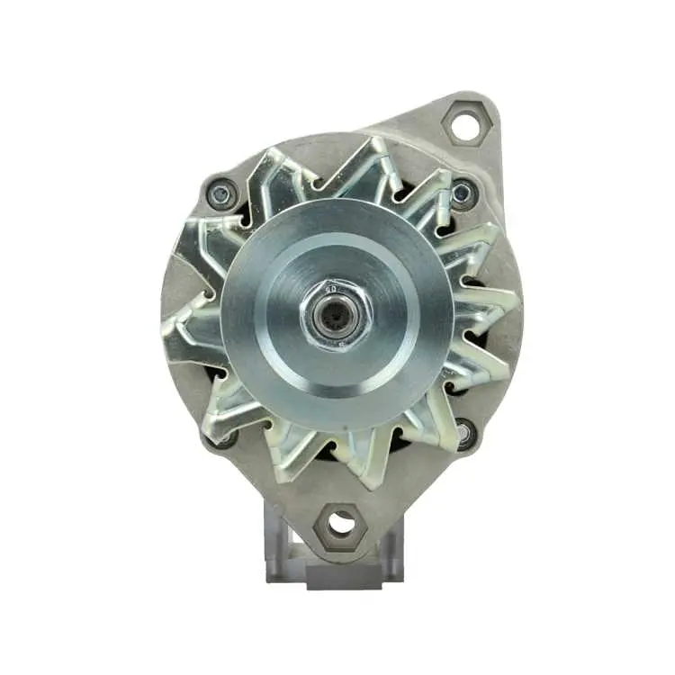 Original Neu Mahle Lichtmaschine passend für Carraro MG211 65 A