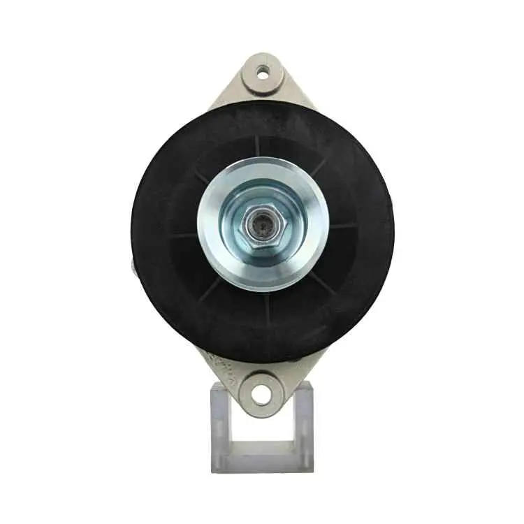 Original Neu Mahle Lichtmaschine passend für John  50A MG322 50 A
