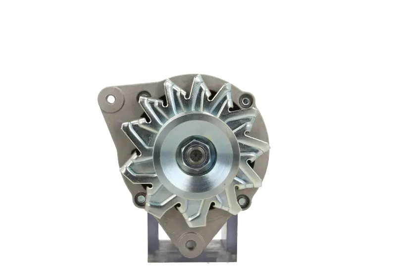 Original Neu Mahle Lichtmaschine passend für Landini   MG284 55 A
